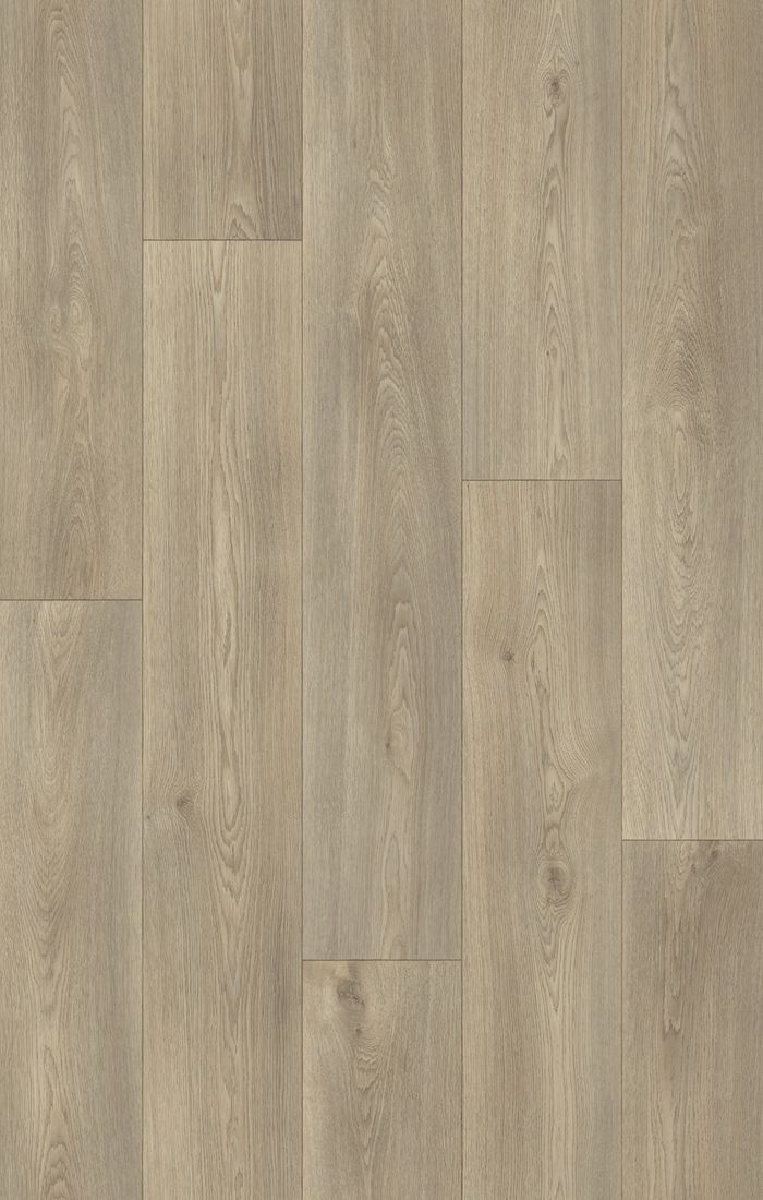 Columbian Oak 629L